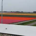 Chalet Holidays In *