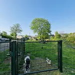 Holidays In Chalet *