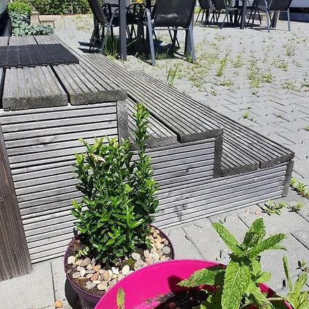 Holidays In Dirkshorn