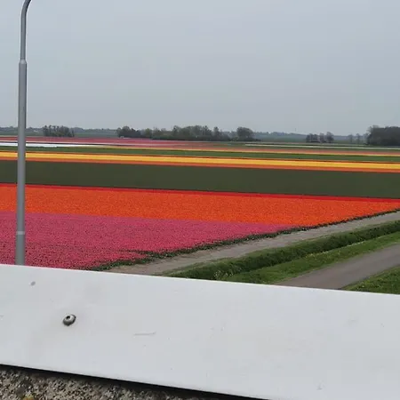 Chalet Holidays In *