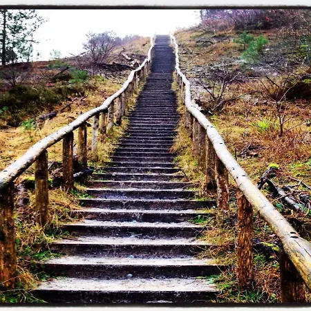 בקתה Holidays In Dirkshorn