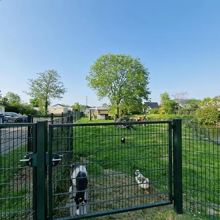 Holidays In Chalet *