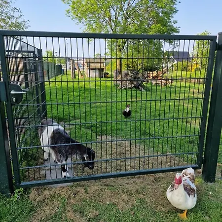 Holidays In בקתה Dirkshorn