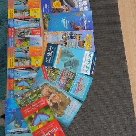 Holidays In *