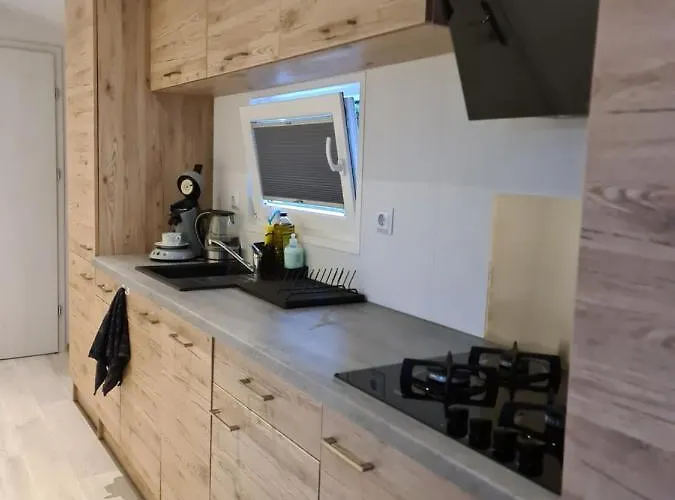 Holidays In Chalet Dirkshorn