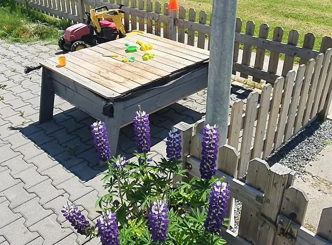 Holidays In Dirkshorn