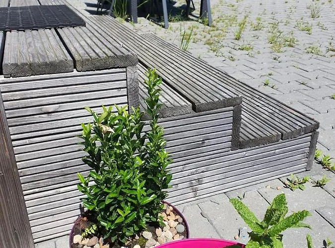 Holidays In Dirkshorn