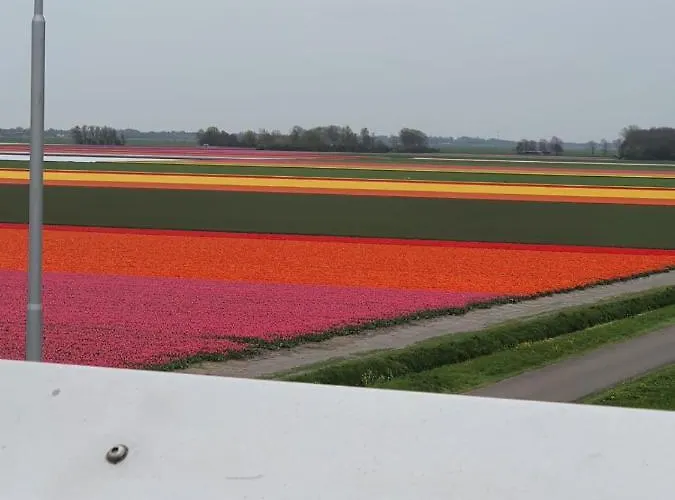 Chalet Holidays In *