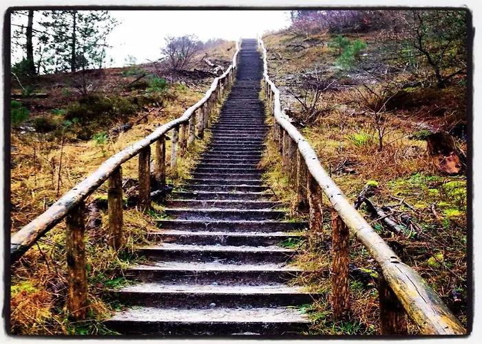 Chalet Holidays In Dirkshorn