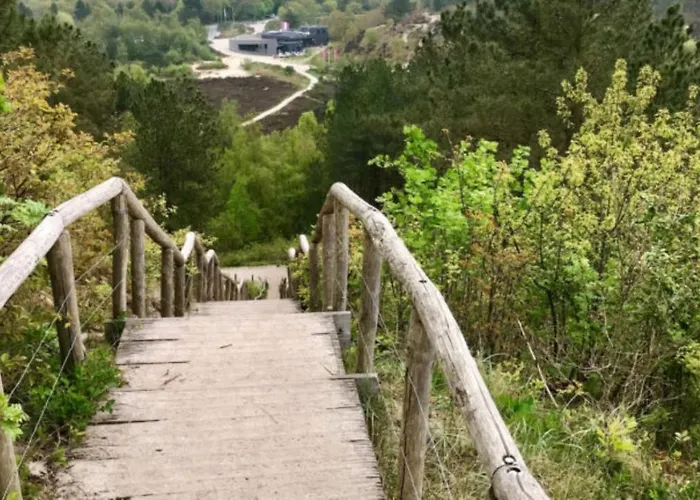 Chalet Holidays In *