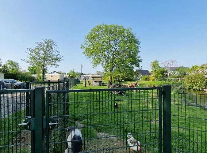 Holidays In Chalet *