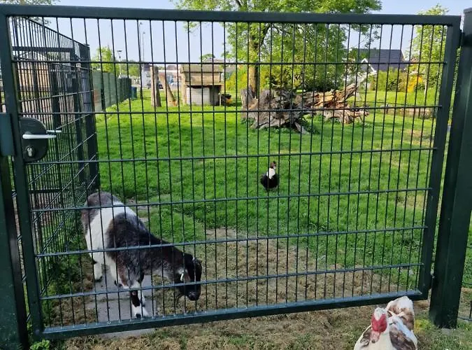 Holidays In Chalet Dirkshorn